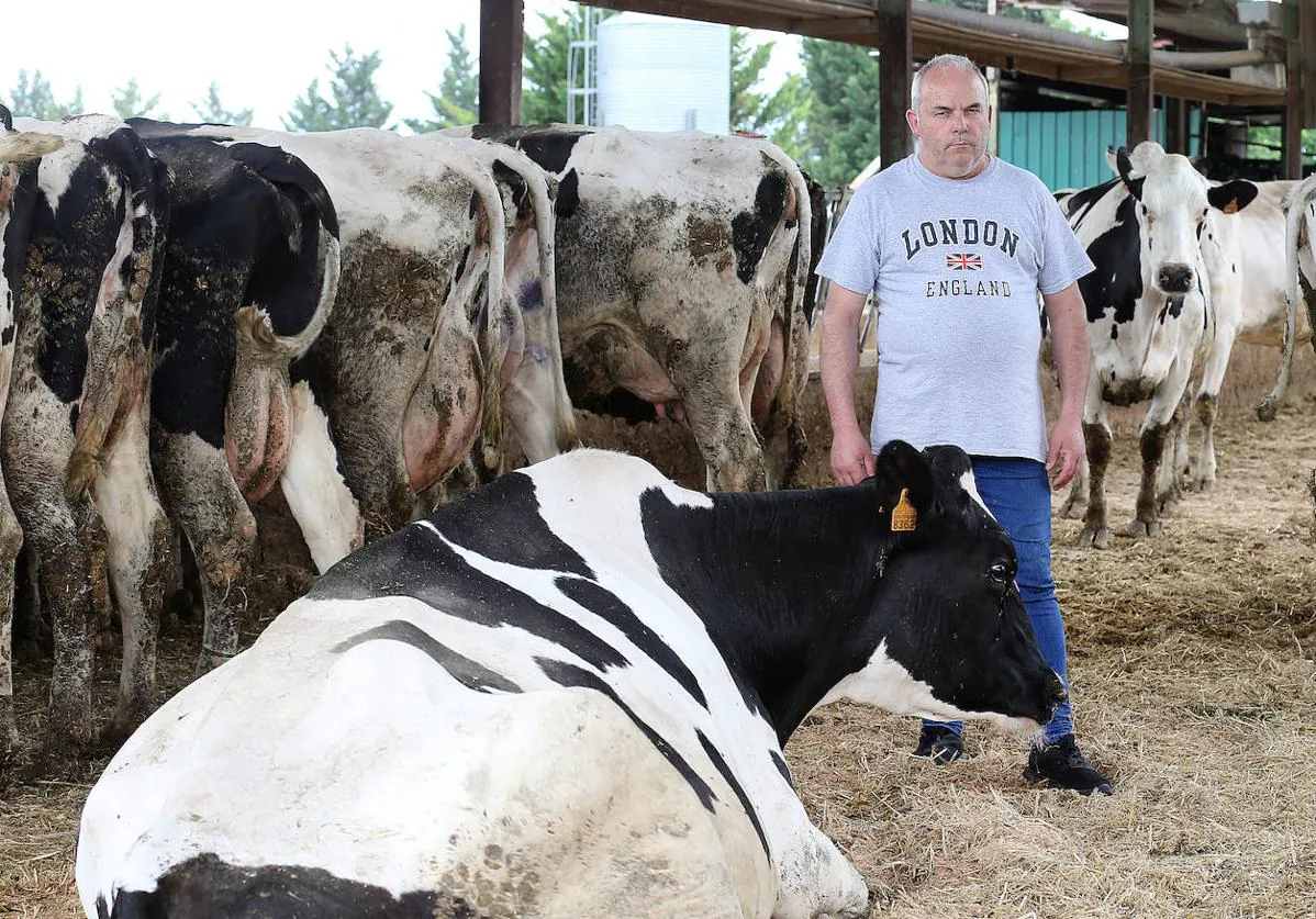 El sector vacuno de leche resiste en La Rioja con solo siete ganaderías  activas | La Rioja