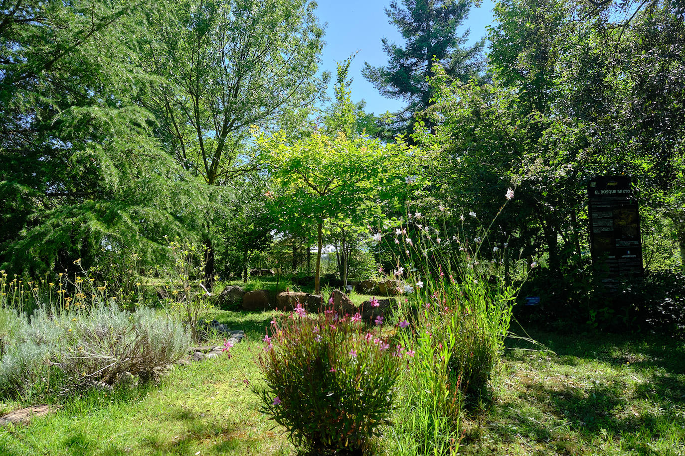 El Jardín Botánico, en todo su esplendor