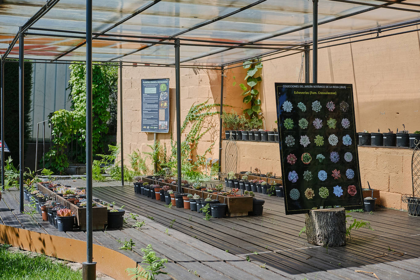 El Jardín Botánico, en todo su esplendor