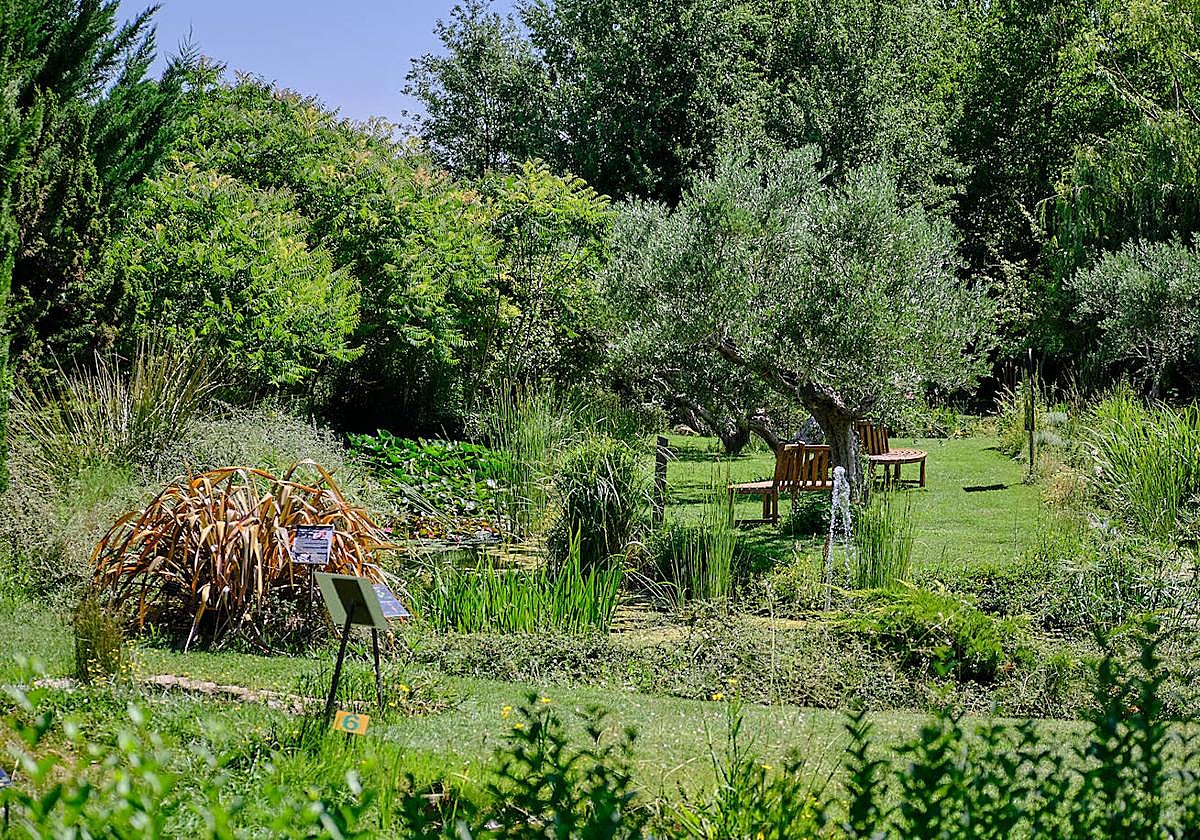 El Jardín Botánico, en todo su esplendor