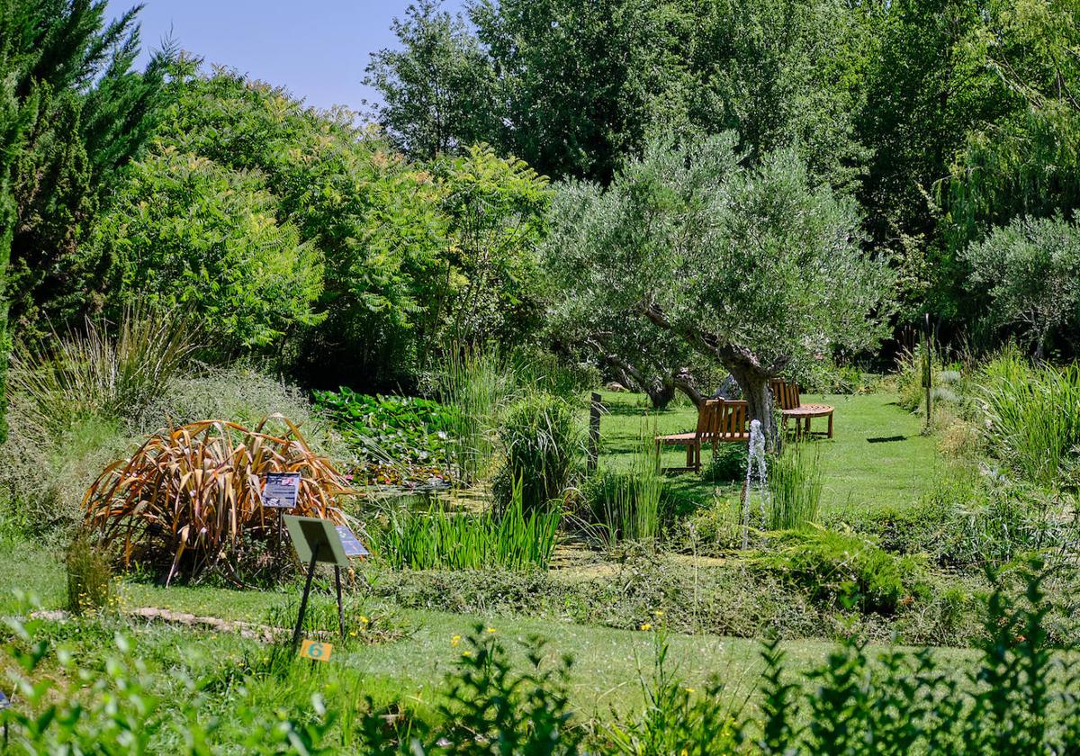 El Jardín Botánico, en todo su esplendor