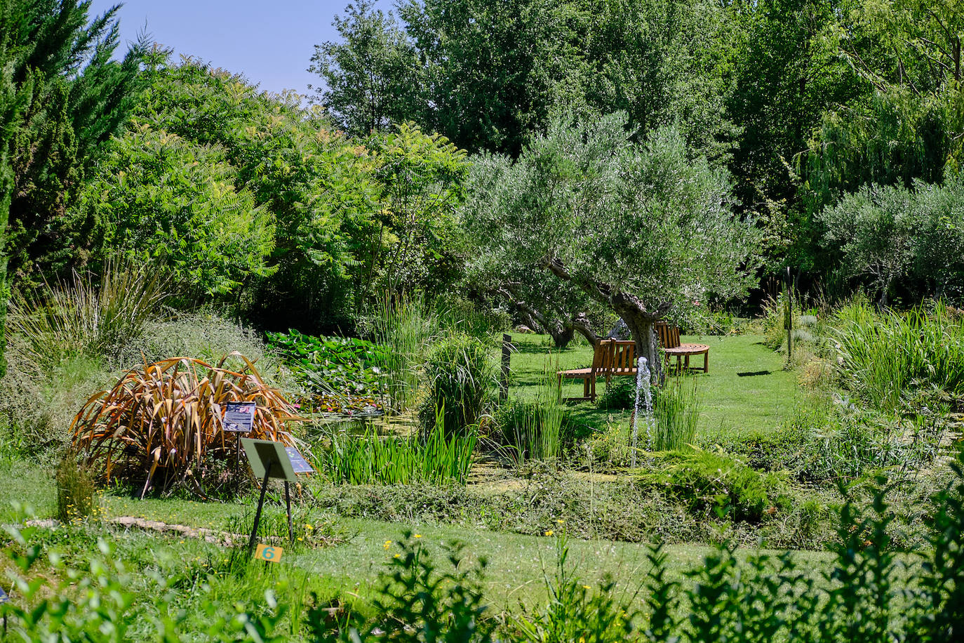 El Jardín Botánico, en todo su esplendor