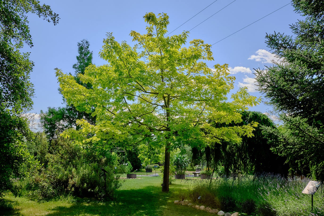 El Jardín Botánico, en todo su esplendor