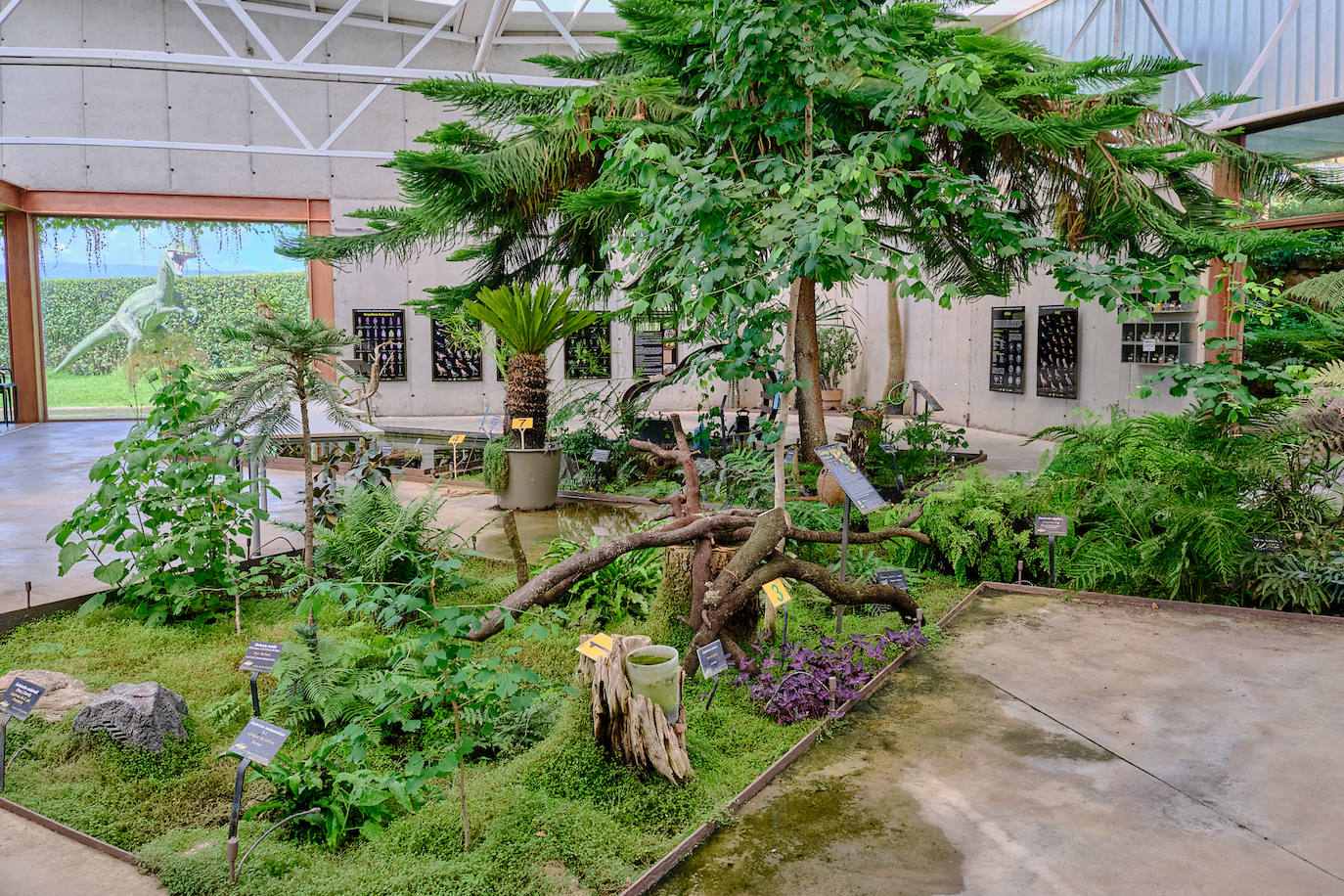 El Jardín Botánico, en todo su esplendor