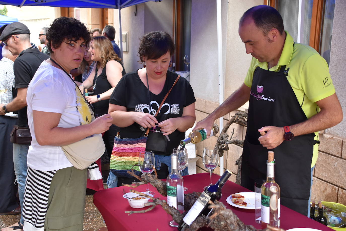 La feria del vino &#039;Garnacha sensanciones&#039;, un éxito en Tudelilla