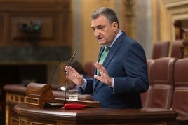 Aitor Esteban, ayer en el Congreso.