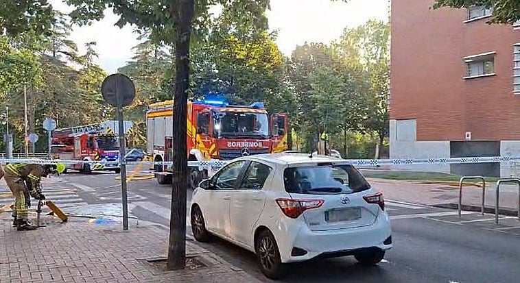 Imagen de los Bomberos de Logroño en la actuación llevada a cabo este domingo en General Urrutia.