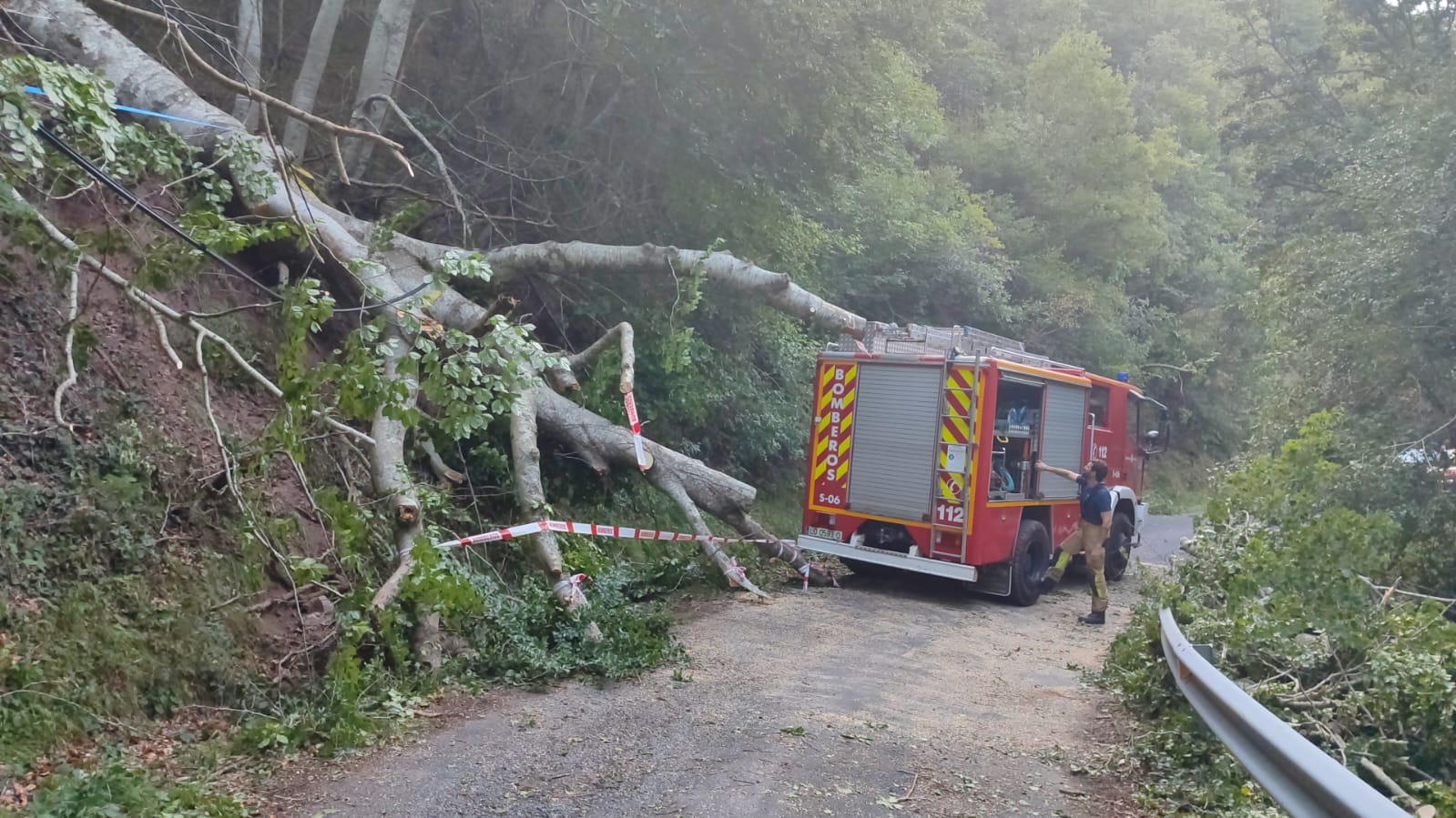 Los bomberos han intervenido para retirar el árbol.