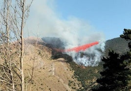 Un incendio arrasa ocho hectáreas en un monte del entorno de Canales