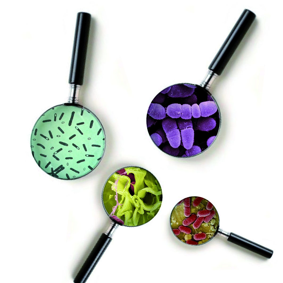 ¿De qué puedo enfermar cuando como comida en mal estado?