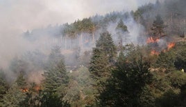 El incendio de Canales fue provocado por maquinaria forestal