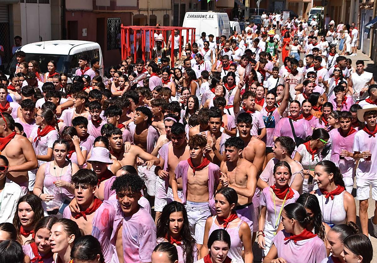 Fiestas de Rincón de Soto en honor a la Virgen del Carravieso