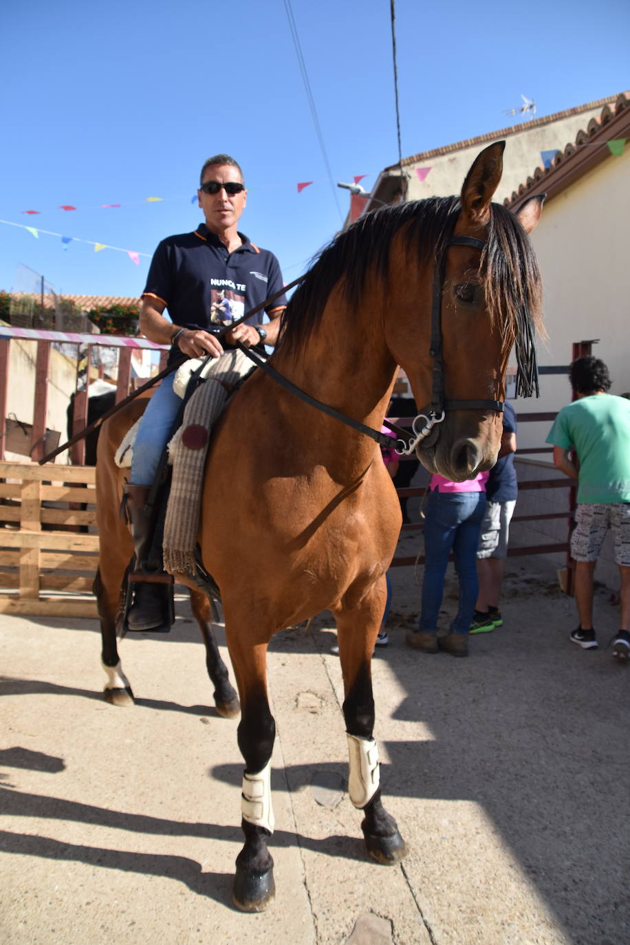 La saca de vacas de Valverde, en imágenes