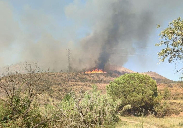 Un incendio calcina al menos ocho hectáreas de cultivos y matorral en Arnedo