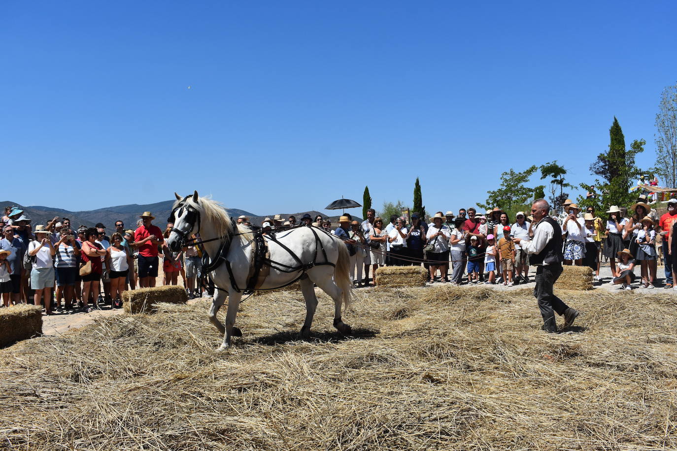 La Fiesta de la Molienda, en imágenes