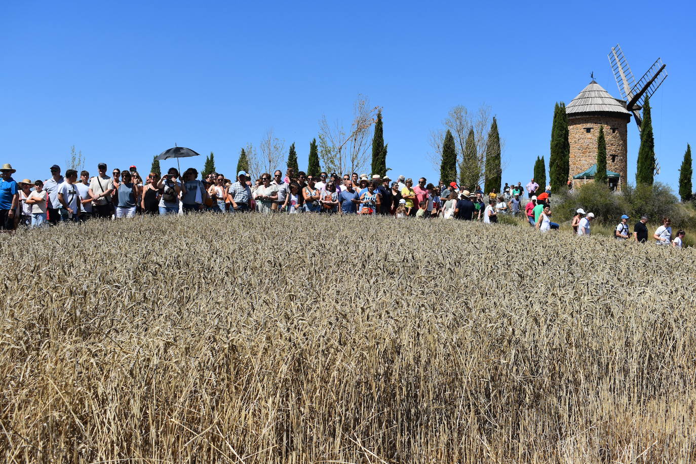 La Fiesta de la Molienda, en imágenes