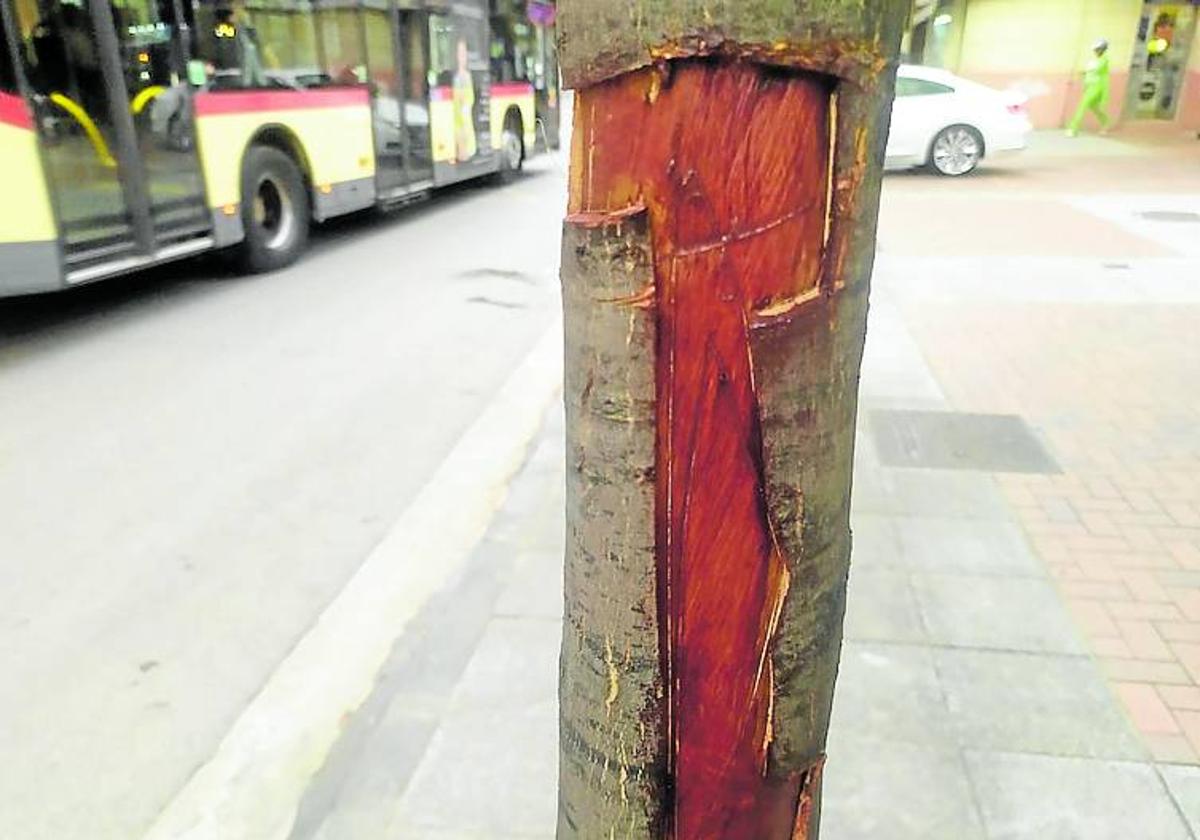 La calle Oyón «es un nido de ratas»