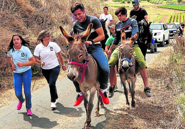 Carrera de burros de Tricio, que el año pasado denunció Pacma por maltrato animal.