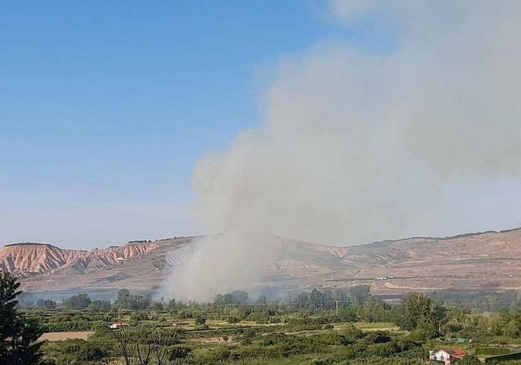 Foto tomada desde la parte trasera del cementerio de Autol. Entre el cementerio y la fábrica de Conservas Cidacos