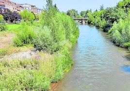 El río Najerilla, a su paso por Nájera este viernes, con un caudal mucho mayor al habitual por estas fechas