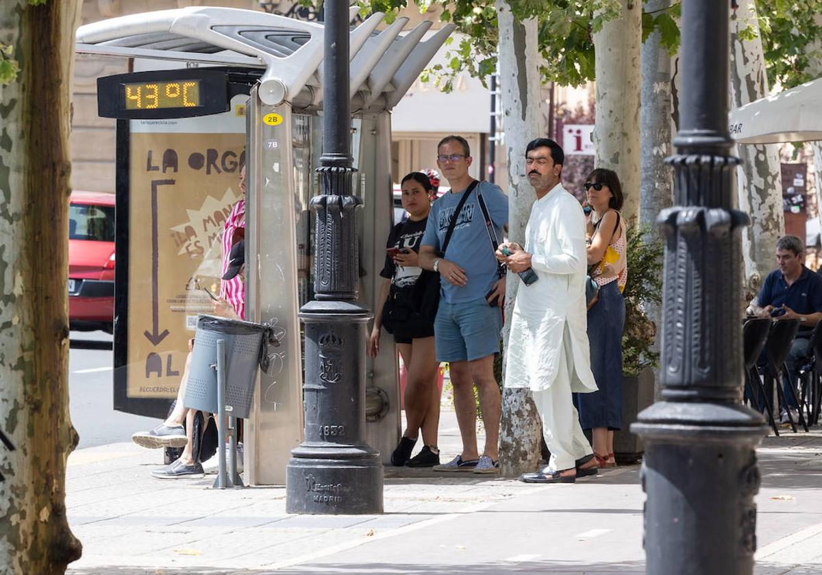 Salud Pública vuelve a declarar el nivel más alto de aviso por calor en La Rioja