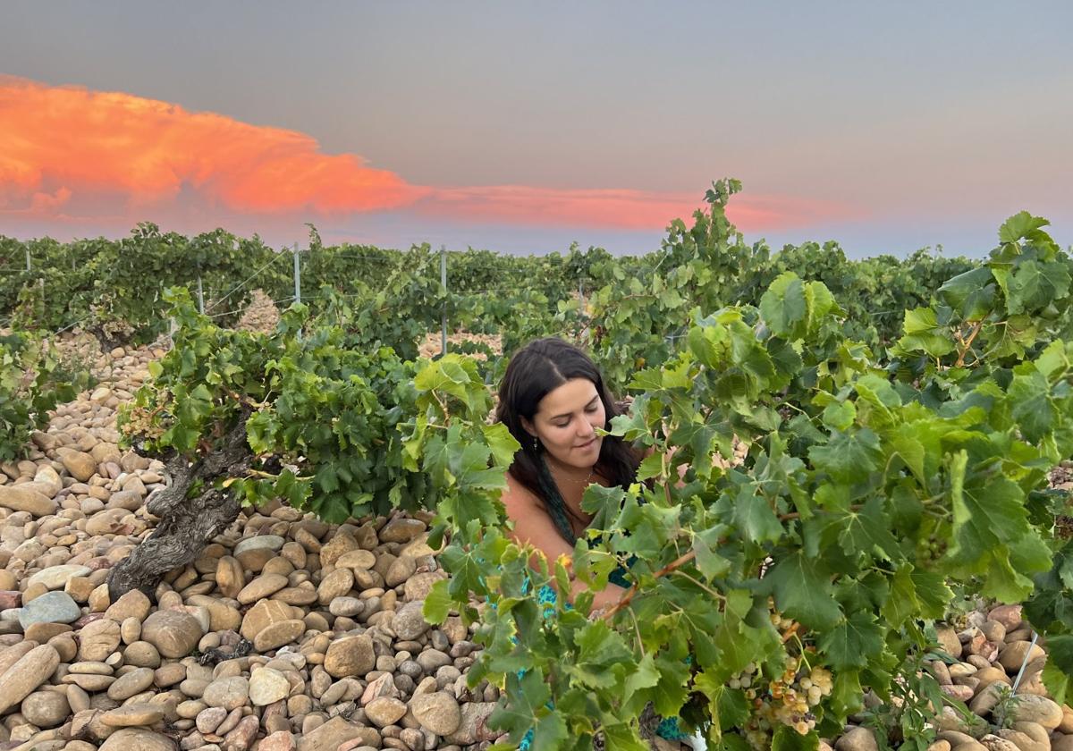 Un Máster de referencia en la tierra del vino