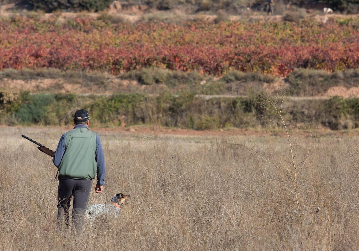 Los cazadores riojanos confían en ver este año más codornices que en campañas anteriores