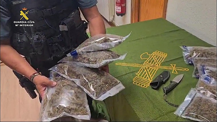 Detenido un joven en Alfaro por transportar cogollos de marihuana