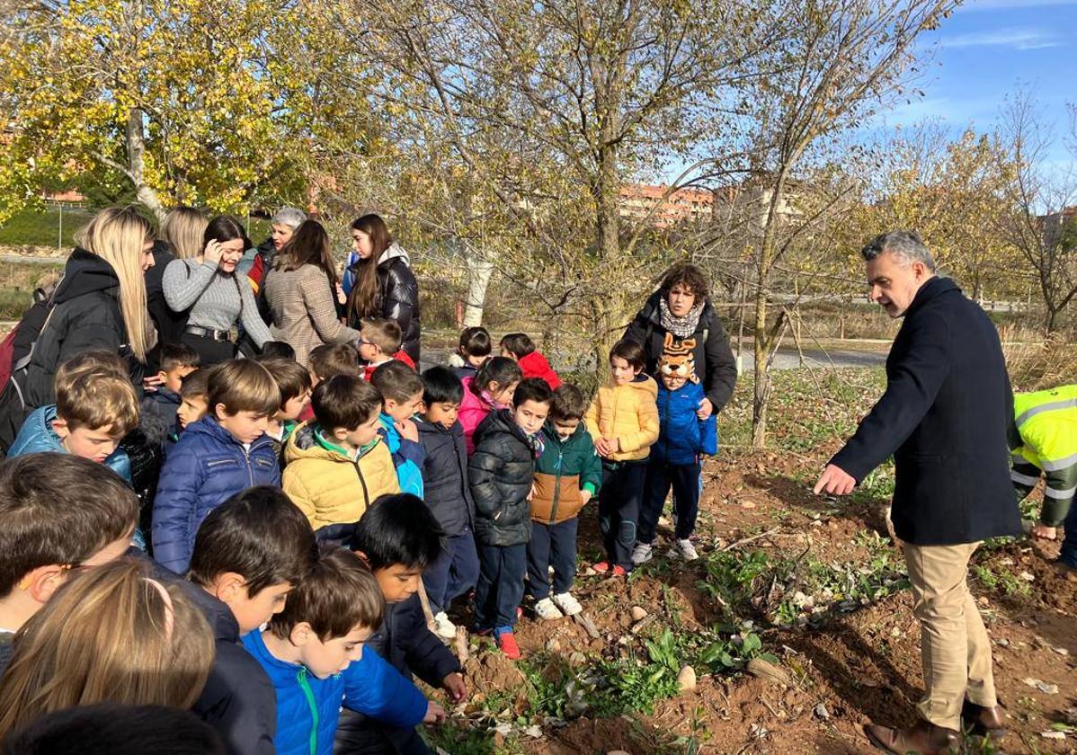 Plantación 'escolar' en el futuro parque del Camino llevada a cabo el pasado invierno con el Ayuntamiento de Logroño como promotor.