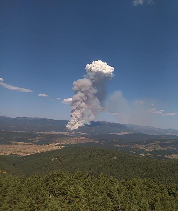 Imagen secundaria 2 - Nélida Rioja