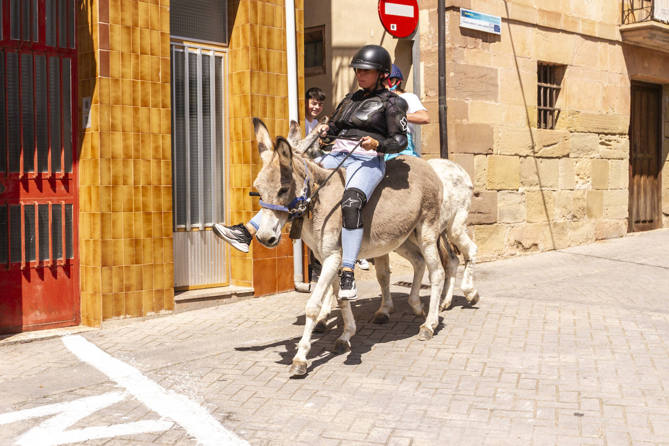 Las imágenes del paseo en burro de Tricio