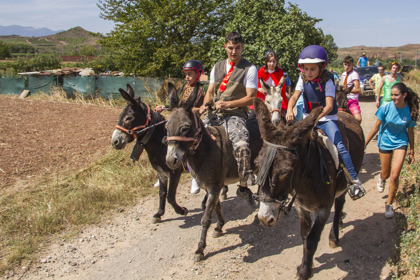 Las imágenes del paseo en burro de Tricio