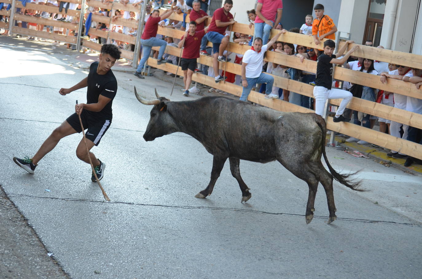 Las mejores fotos de encierro del domingo