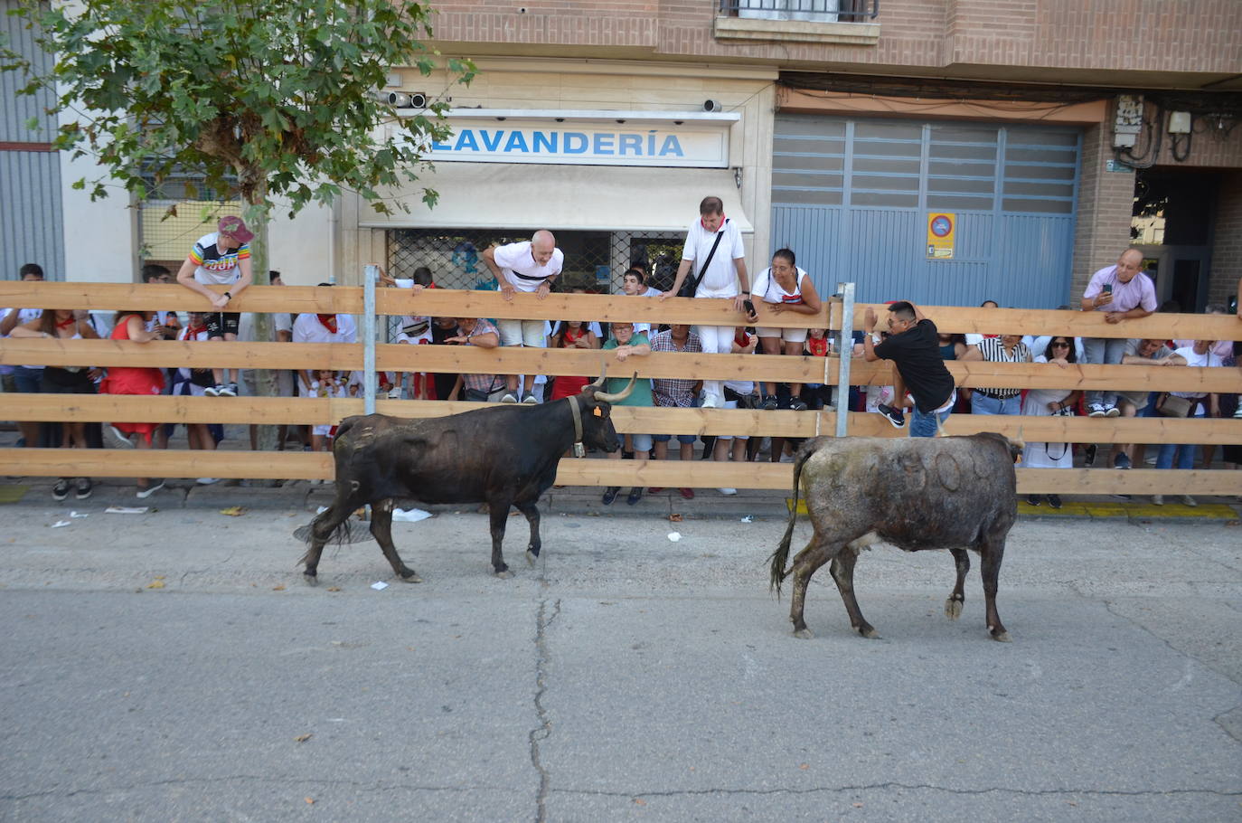 Las mejores fotos de encierro del domingo