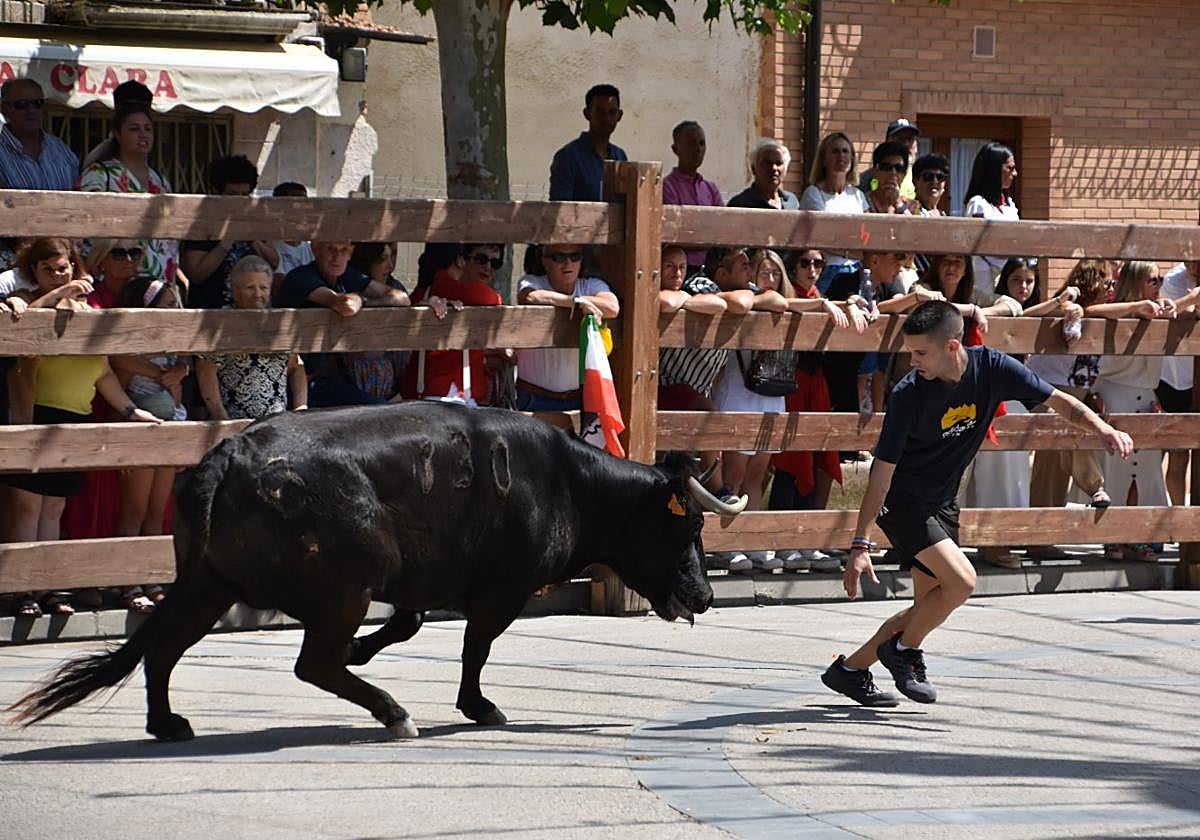 Ambiente taurino en las fiestas de Aldeanueva de Ebro