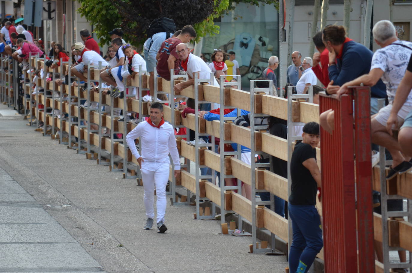 Mañana de novillos y tarde de risas con el Grand Prix en Calahorra