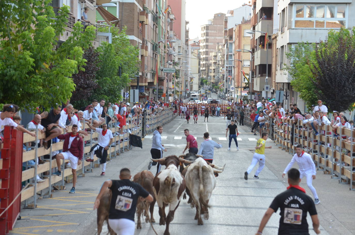 Mañana de novillos y tarde de risas con el Grand Prix en Calahorra