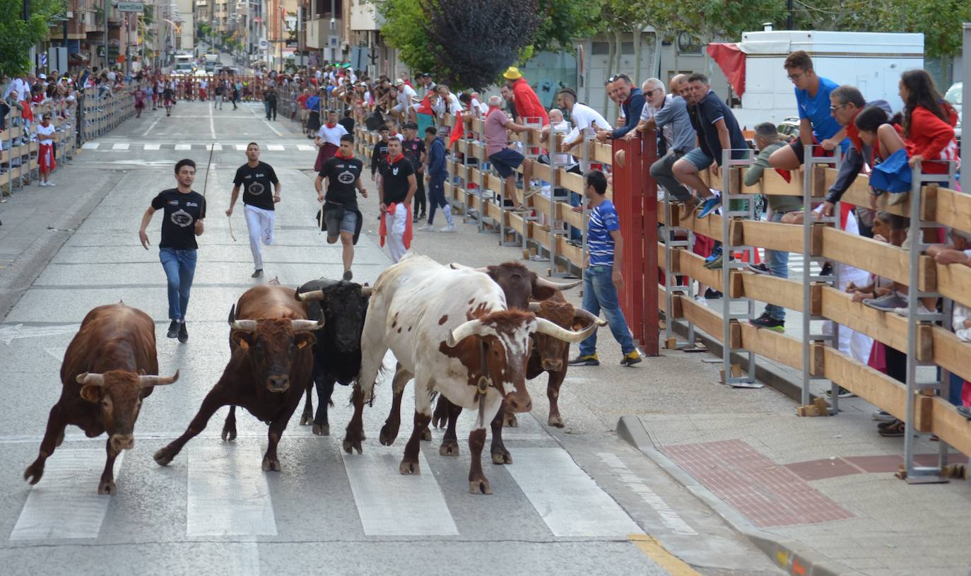 Mañana de novillos y tarde de risas con el Grand Prix en Calahorra