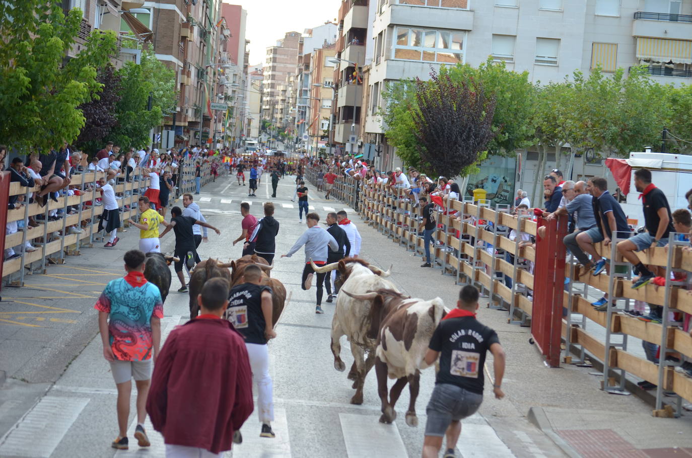 Mañana de novillos y tarde de risas con el Grand Prix en Calahorra
