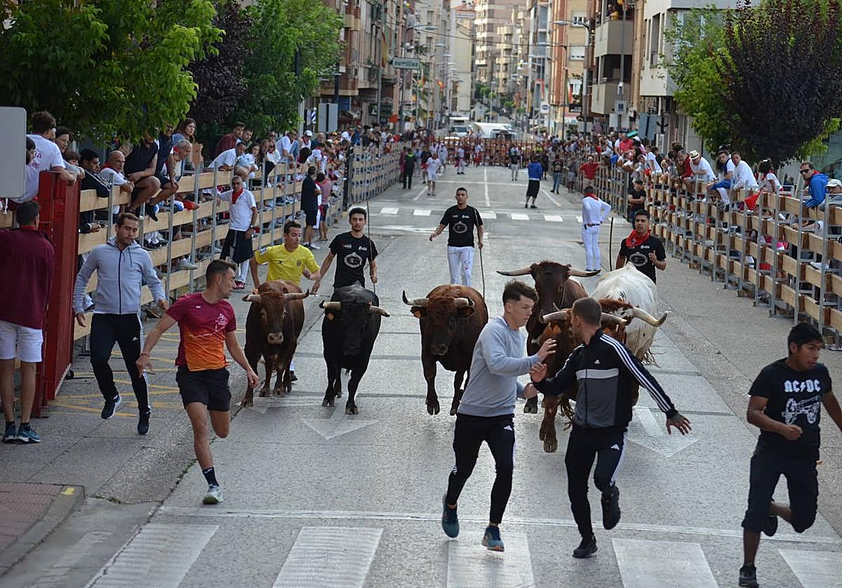 Mañana de novillos y tarde de risas con el Grand Prix en Calahorra