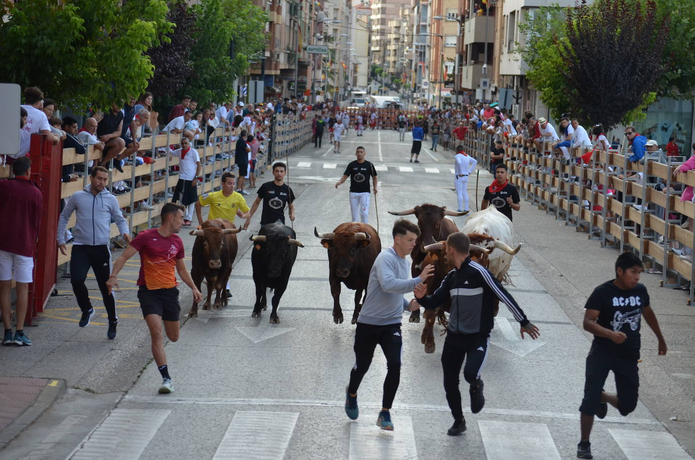 Mañana de novillos y tarde de risas con el Grand Prix en Calahorra