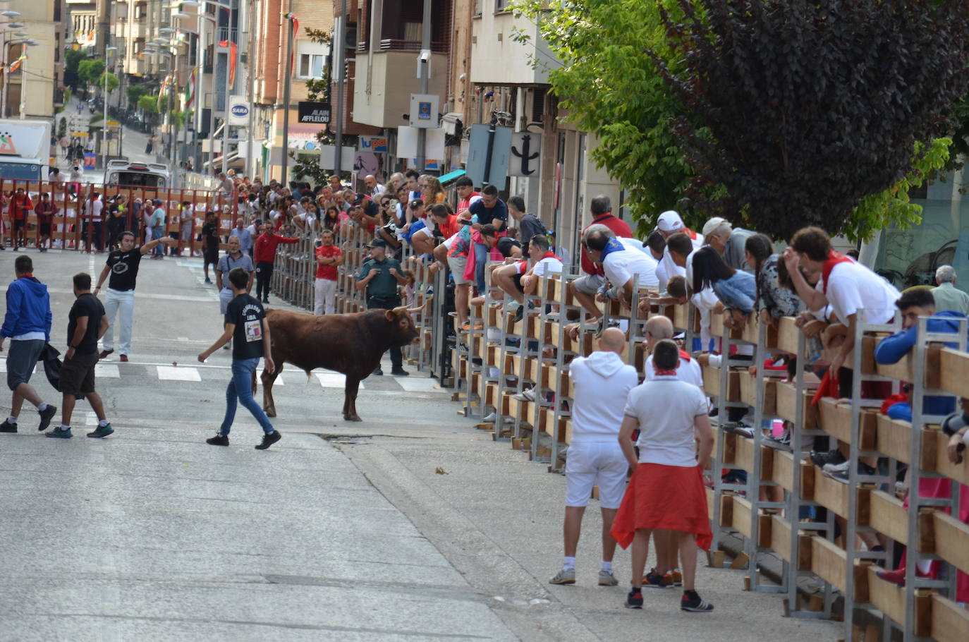Mañana de novillos y tarde de risas con el Grand Prix en Calahorra