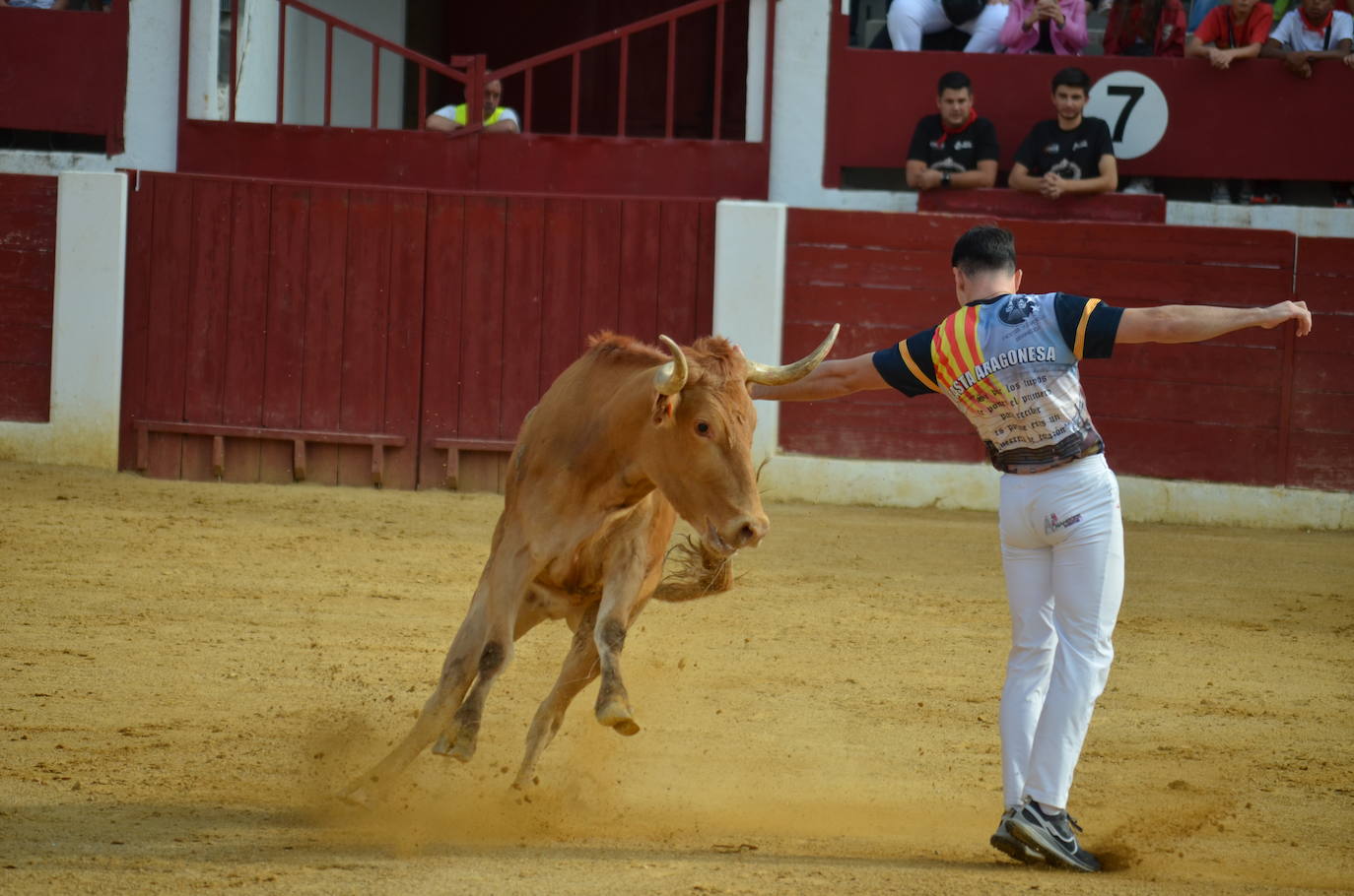 Mañana de novillos y tarde de risas con el Grand Prix en Calahorra