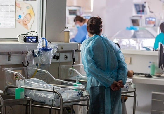 Cunas en el servicio de neonatología del Hospital San Pedro.