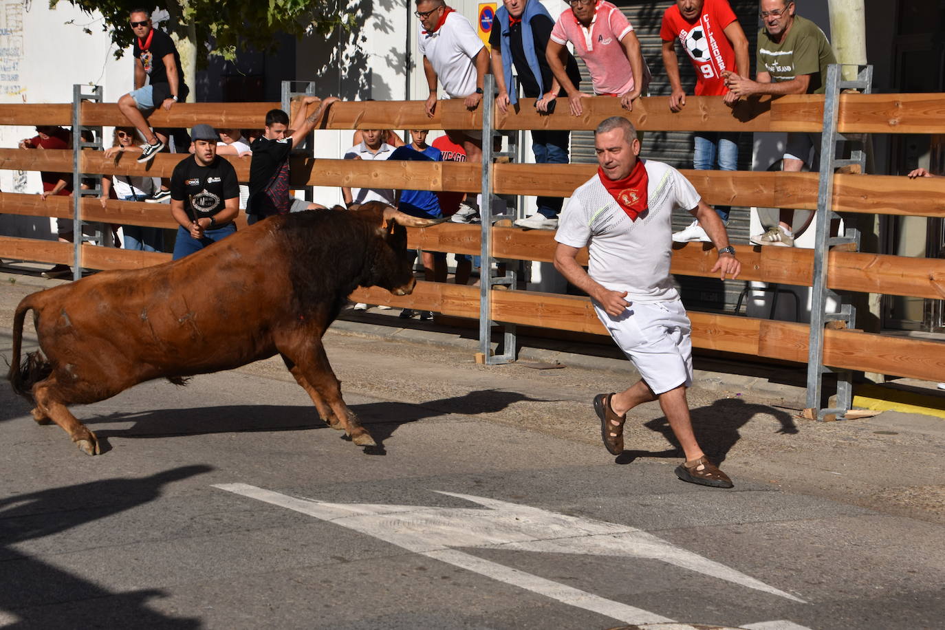 Día de degustaciones en Calahorra
