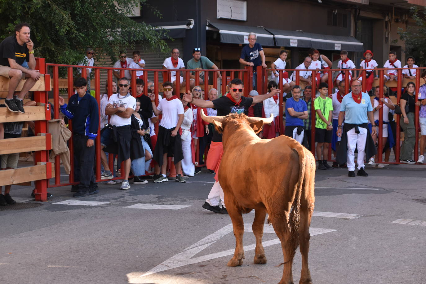 Día de degustaciones en Calahorra