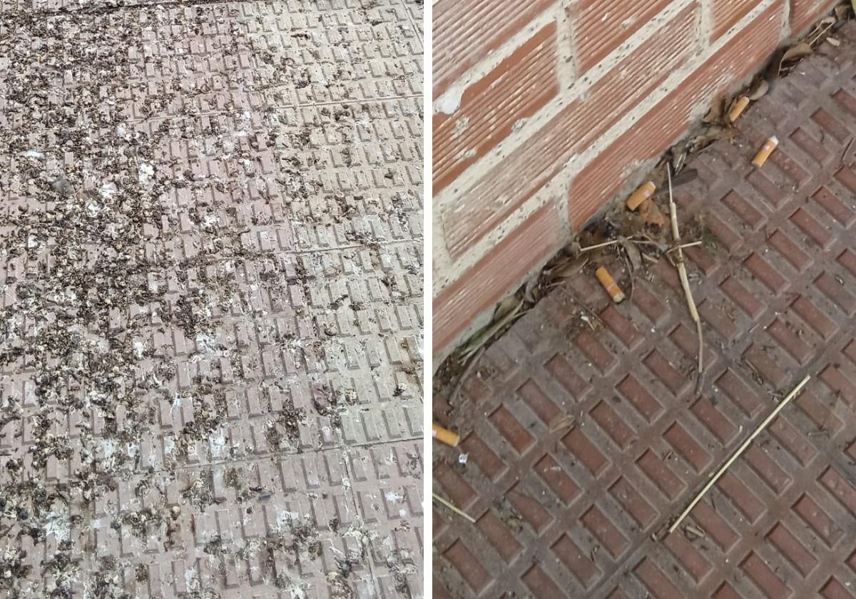 Suciedad en la calle Cerezos, en La Estrella. La queja de hoy en La Guindilla.