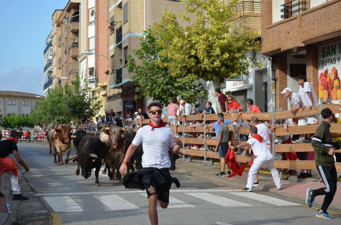 Las imágenes de la ofrenda de flores a los patronos en Calahorra