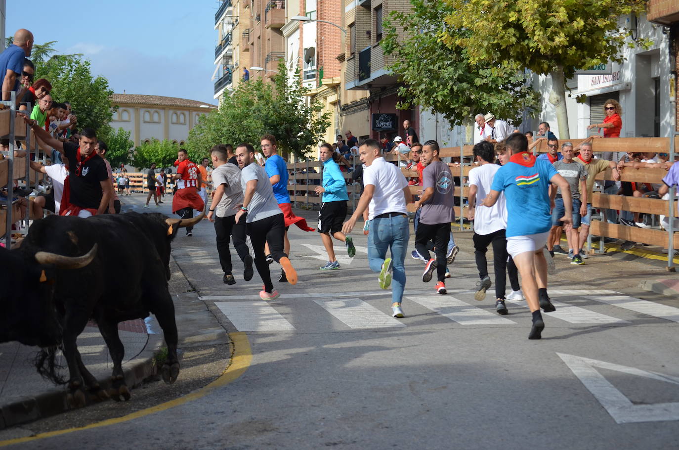 Las imágenes de la ofrenda de flores a los patronos en Calahorra