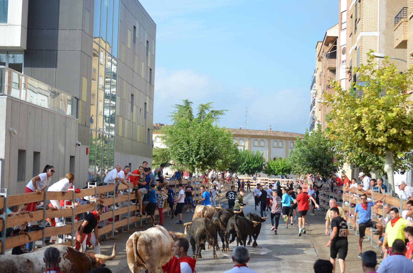 Las imágenes de la ofrenda de flores a los patronos en Calahorra